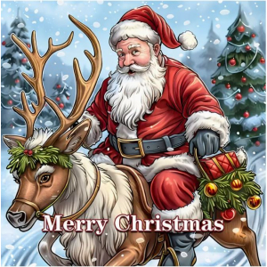 CMP Kerstmis kleurboek, (VX226492)