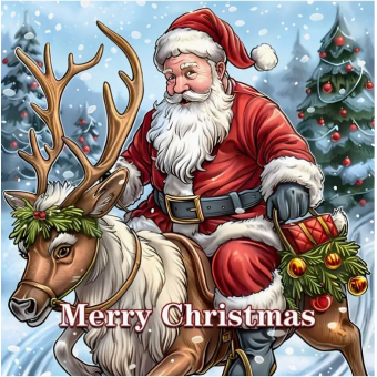 CMP Kerstmis kleurboek, (VX226492)