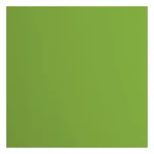 Florence  Cardstock Papier 216g glad 30,5x30,5cm Frog (2926-074)  per stuk