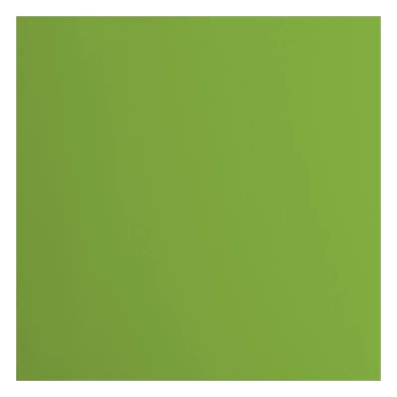 Florence  Cardstock Papier 216g glad 30,5x30,5cm Frog (2926-074)  per stuk