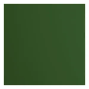 Florence  Cardstock Papier 216g glad 30,5x30,5cm Pine (2926-078)  per stuk