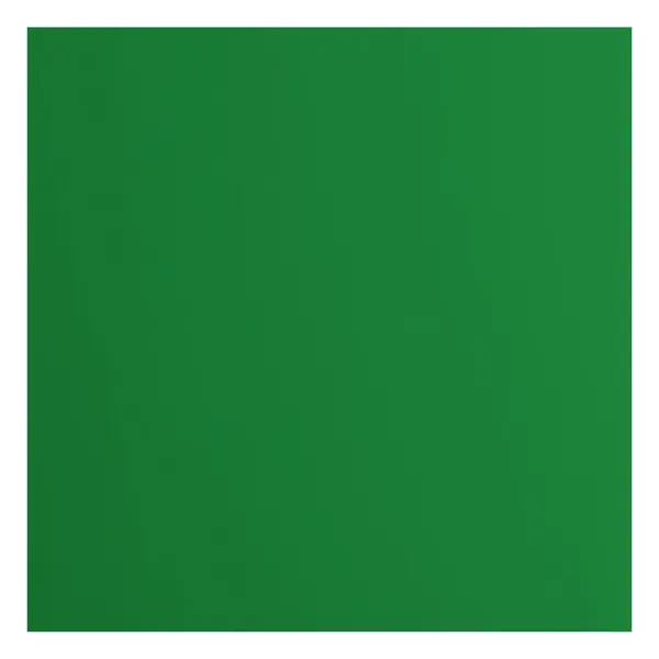 Florence  Cardstock Papier 216g glad 30,5x30,5cm Brocolli (2926-077)  per stuk