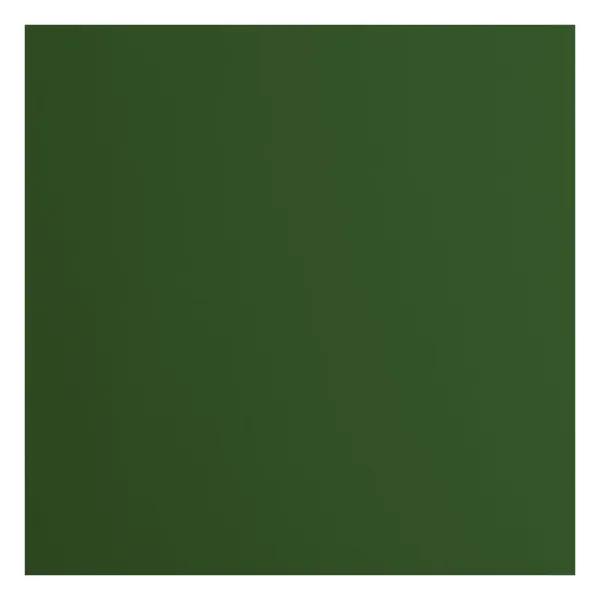 Florence  Cardstock Papier 216g glad 30,5x30,5cm Pine (2926-078)  per stuk