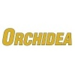 Orchidea