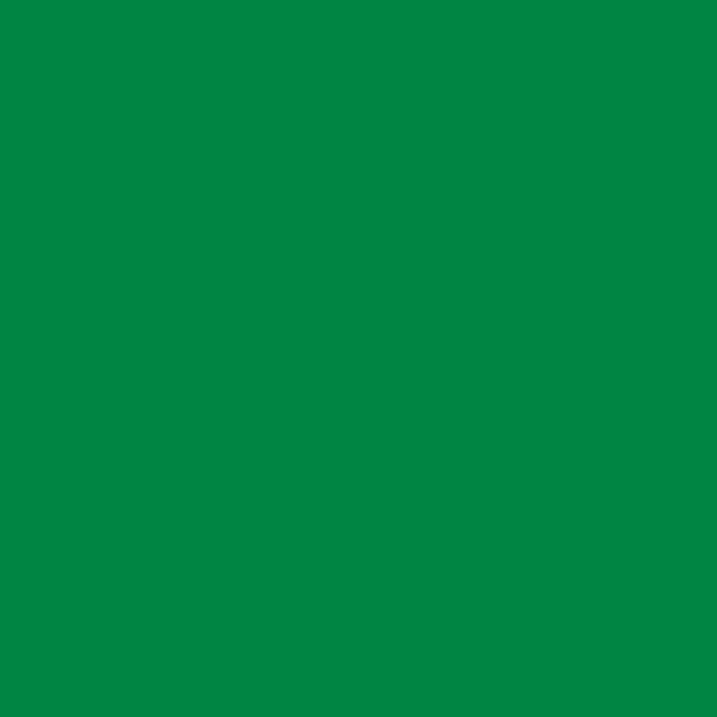 M4 glans Shamrock 269G (M4 -269G)