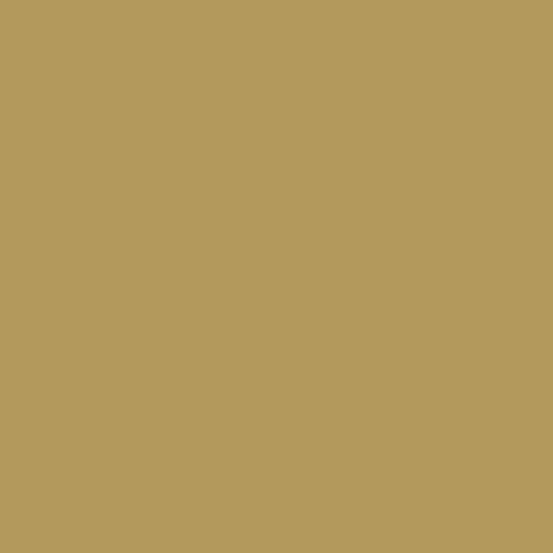 M4 glans Gold 291G (M4 -291G)