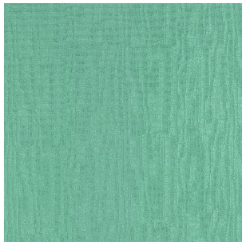 Florence  Cardstock Papier 216g Textuur 30,5x30,5cm Mint (2928-107)