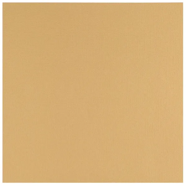 Florence  Cardstock Papier 216g Textuur 30,5x30,5cm Sly Blue (2928-105)