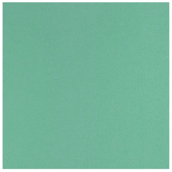 Florence  Cardstock Papier 216g Textuur 30,5x30,5cm Mint (2928-107)