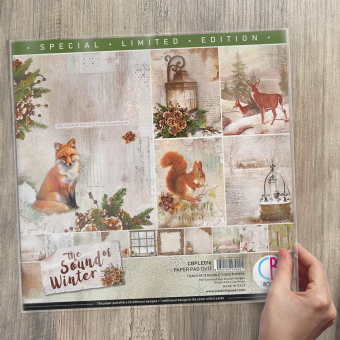 Ciao Bella The sound of winter Limited Edition paperpad 12x12 inch (CBPLE016)