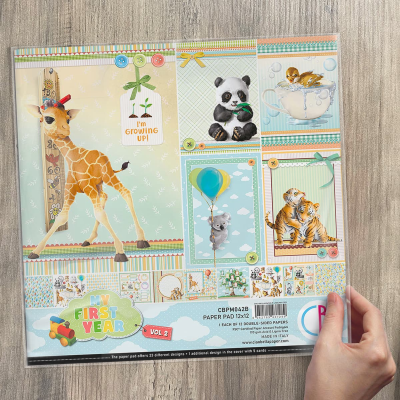 Ciao Bella My first year Vol.2 Paperpad 12x12 inch (CBPM042B)