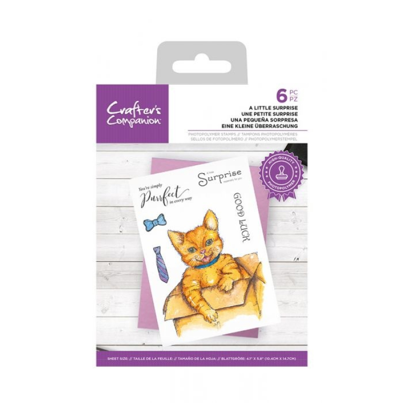 Crafter's Companion Clear Stamp A Little Surprise (CC-STP-ALSU)
