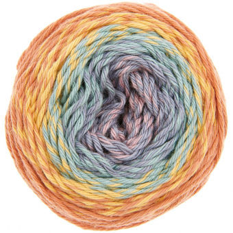 Rico-Design Ricorumi Spin Spin dk earthy rainbow (383338.019)