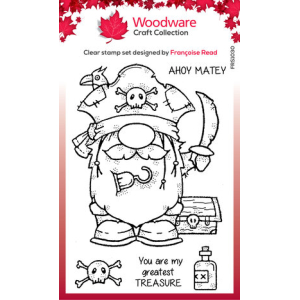 Woodware • Pirate Gnome Clear Stamps (FRS1030)