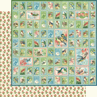 Graphic 45 Bird Watcher 12x12 Inch Collection Pack (4502211)
