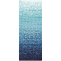 Rico-Design Ricorumi Spin Spin dk blue (383338.010)