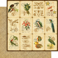 Graphic 45 Tropical Travelogue 12x12 Inch Deluxe Collectors Edition (4501723)