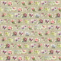 Graphic 45 Bloom Collection - Petal Postage 1 stuks) (4501869)