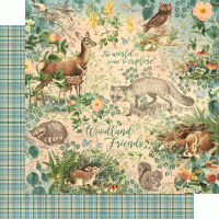 Graphic 45 Woodland Friends 12 x 12 Collection Pack (4502135)