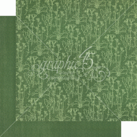 Graphic 45 Blossom 12x12 Inch Patterns & Solids Paper Pad (4502161)
