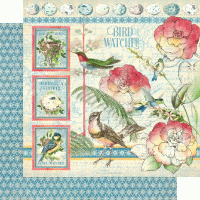 Graphic 45 Bird Watcher 8x8 Inch Paper Pad (4502210)