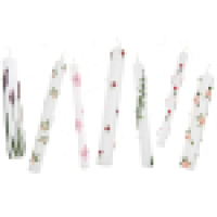 Rico-Design Candle liner Set Roses, 6-tlg (501276)