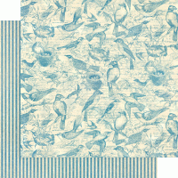 Graphic 45 Bird Watcher 12x12 Inch Collection Pack (4502211)