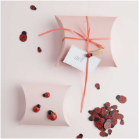 Rico-Design Wooden sticker ladybug, 24 pcs (700429)