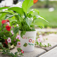 Sublimatie Bloempot van ceramic 10oz (POT-10)