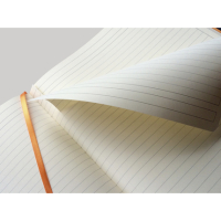 Rhodiarama cahier souple A4+ JONQ 160p L - Zwart (117702C)