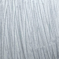 Pearl Tints Silver Lining 20ml (CSPTSILV)