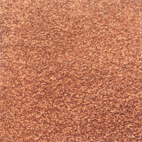 Twinkles Biodegradable Burnt Orange 10ml (CSBTORANGE) 