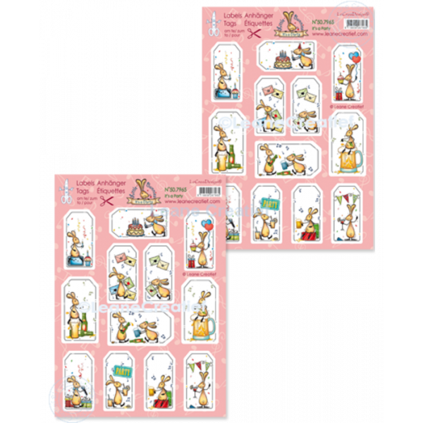 Leane Creatief Labels Little Bunnies It’s a Party A4 Decoration Sheets (50.7965) per vel