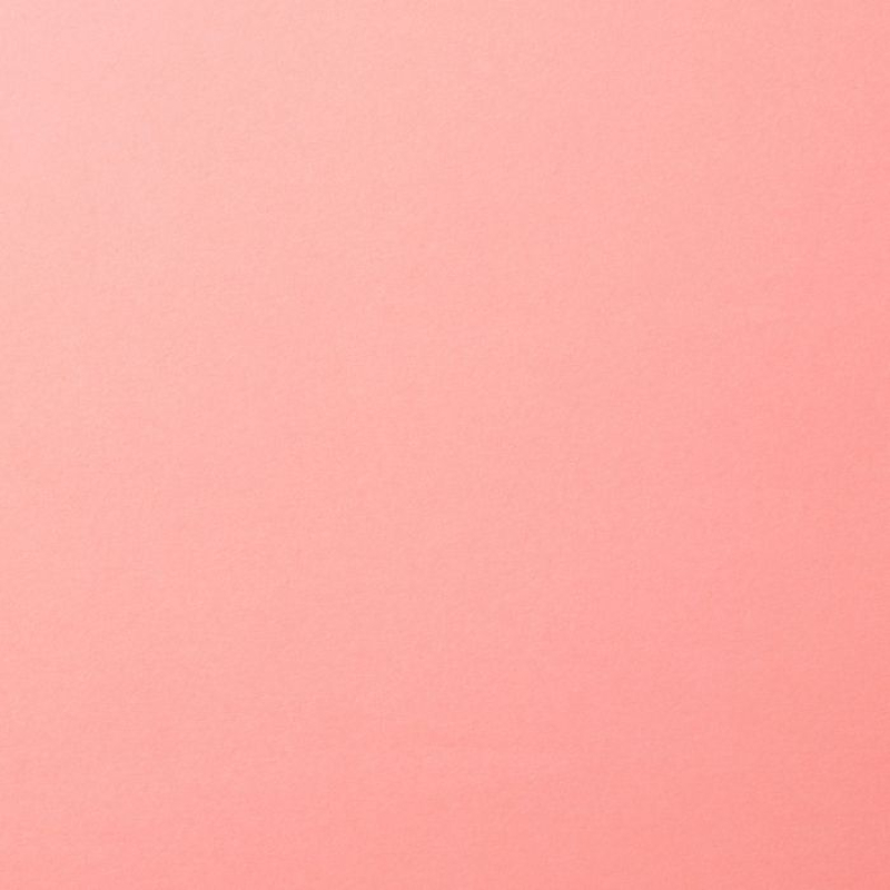 Florence  Cardstock smooth A4 Rose 10x (2927-017)
