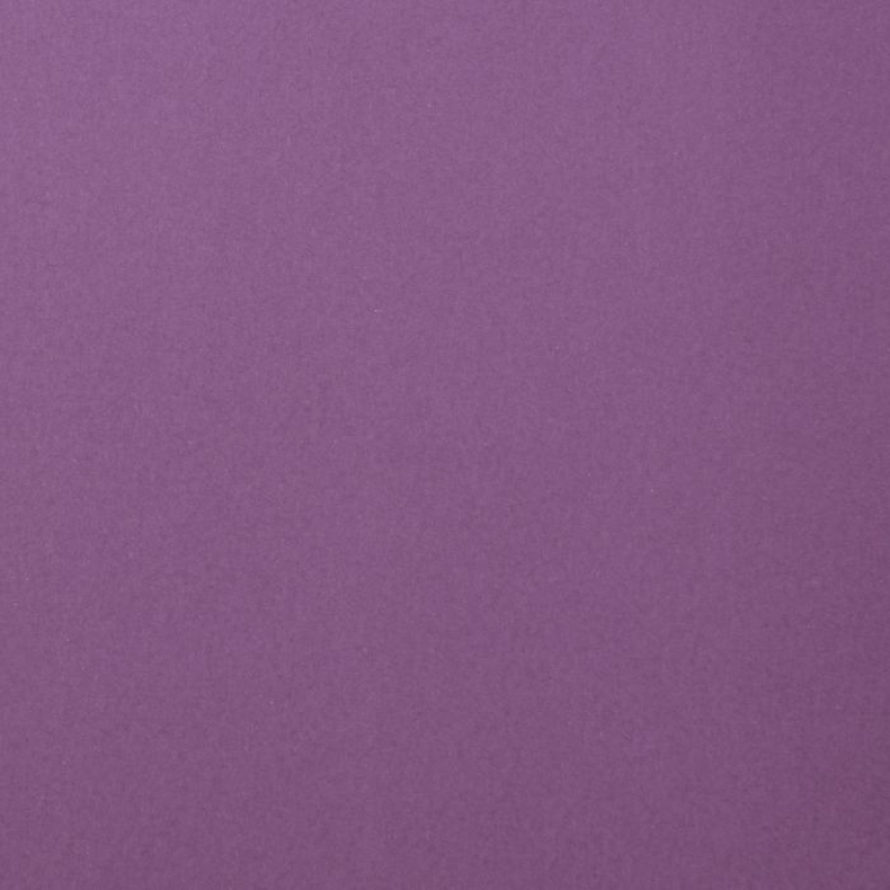 Florence  Cardstock smooth A4 Clematis 10x (2927-040)