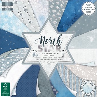 First Edition North Star 12x12 Inch Paper Pad (fepad236x20)