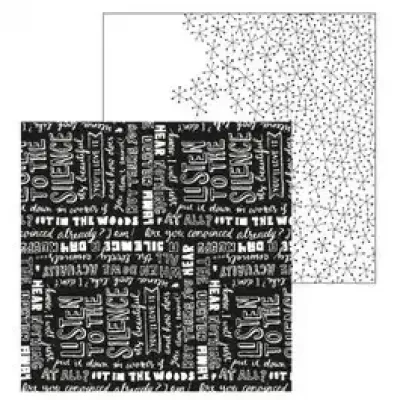 Paperfuel • Scrapbook papier 30,5x30,5cm 200g Silence (PF201004)