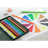 Faber-Castell Kleurpotlood Polychromos Etui a 12 stuks (FC-110012)