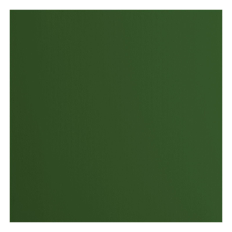 Florence  Cardstock smooth A4 Pine 10x (2927-078)