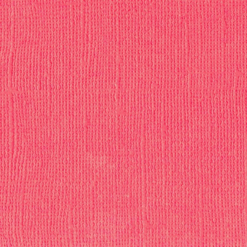 Florence  Cardstock texture 30,5x30,5cm Anemone (2928-022)