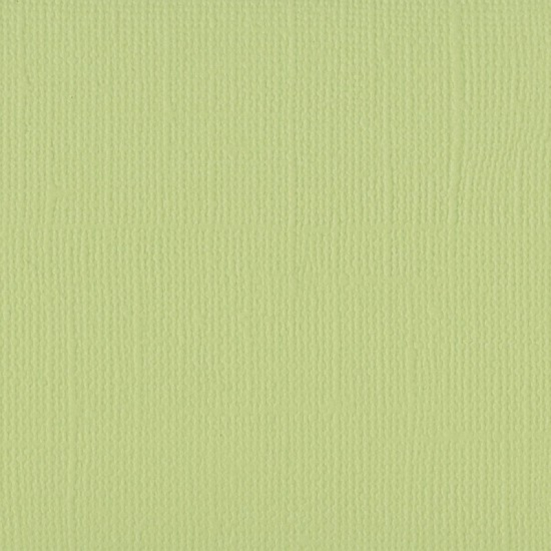 Florence  Cardstock texture 30,5x30,5cm Anise (2928-066)