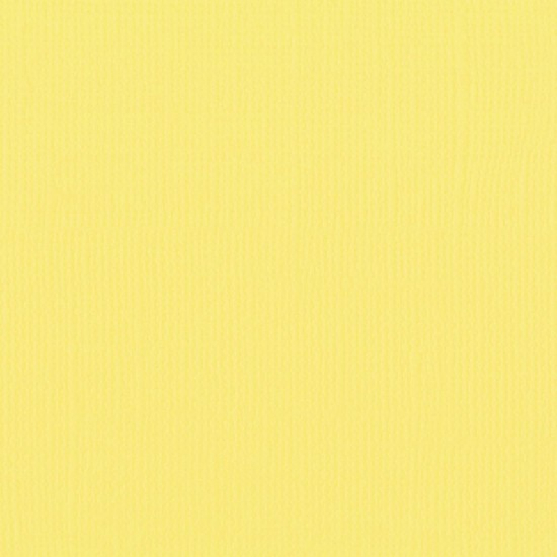 Florence  Cardstock texture 30,5x30,5cm Asparagus (2928-004)