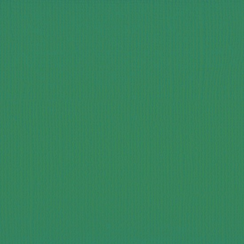 Florence  Cardstock texture 30,5x30,5cm Broccoli (2928-077)