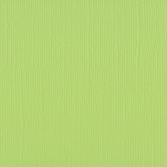 Florence • Cardstock texture 30,5x30,5cm Celery (2928-067)