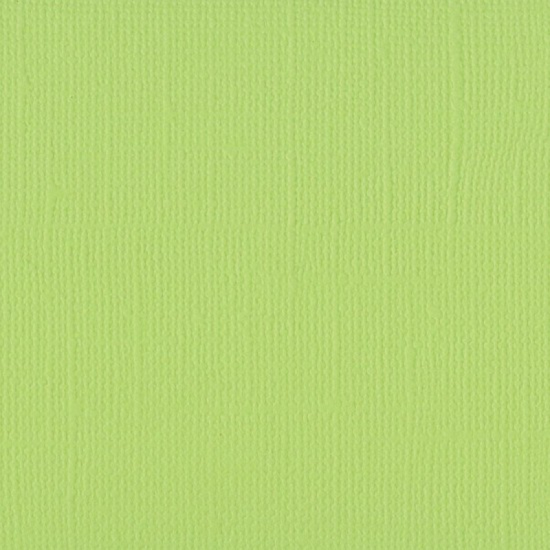 Florence  Cardstock texture 30,5x30,5cm Celery (2928-067)