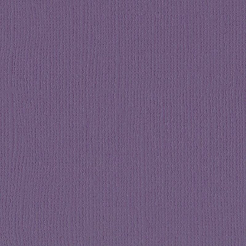 Florence  Cardstock texture 30,5x30,5cm Clematis (2928-040)