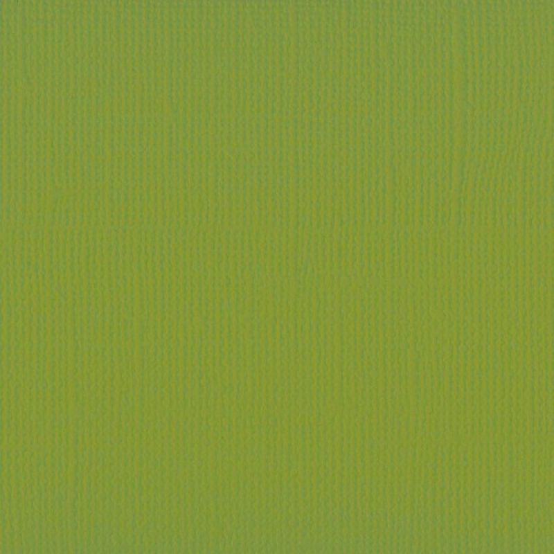 Florence  Cardstock texture 30,5x30,5cm Fern (2928-072)