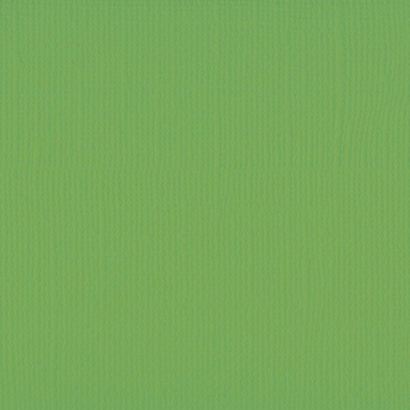 Florence  Cardstock texture 30,5x30,5cm Frog (2928-074)