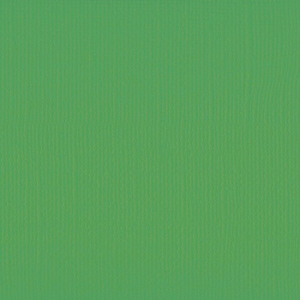 Florence  Cardstock texture 30,5x30,5cm Holly (2928-076)