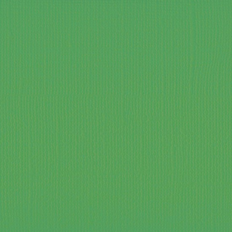 Florence  Cardstock texture 30,5x30,5cm Holly (2928-076)